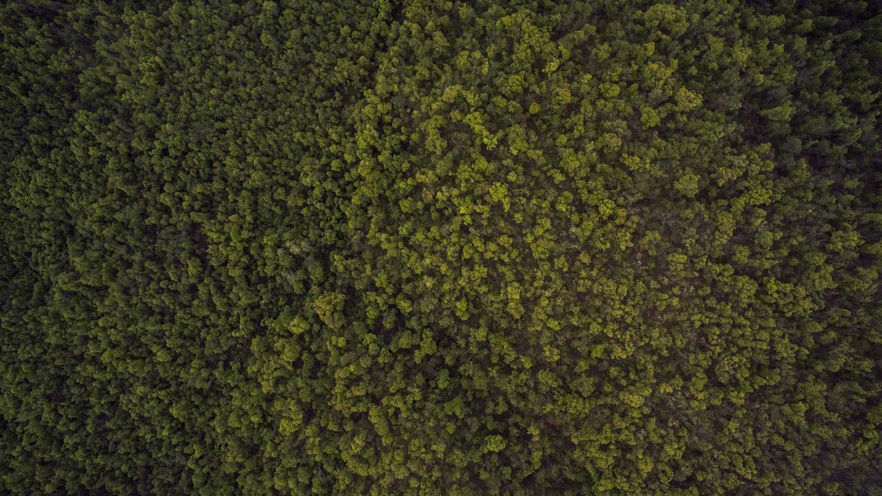业务接待场景